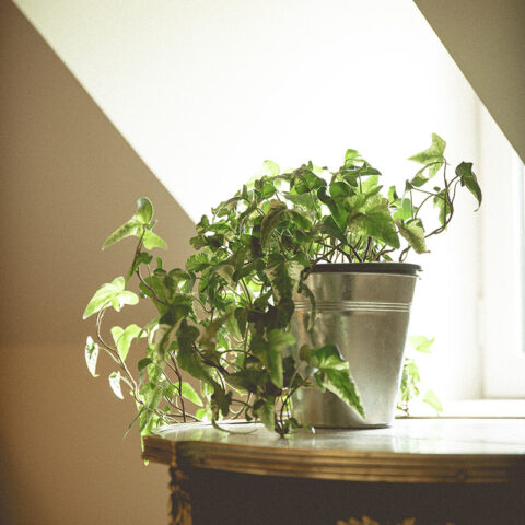 chambre-pigeonnier-11