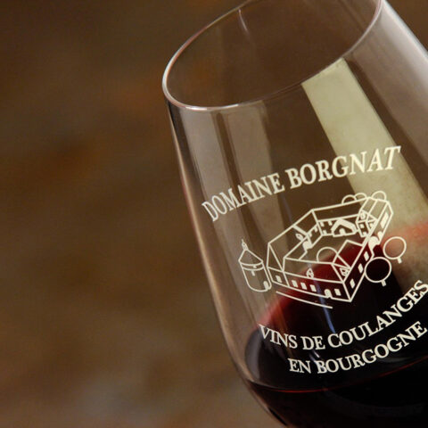 img-domaine-borgnat-01