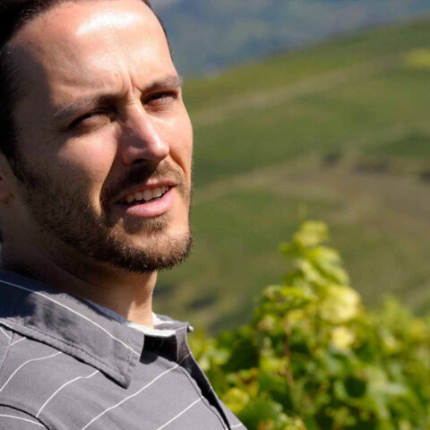 img-domaine-borgnat-03