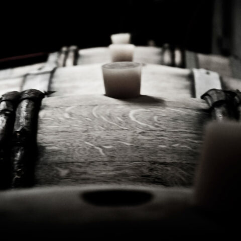 img-domaine-brocard-02