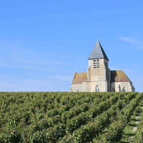 img-domaine-gueguen-04