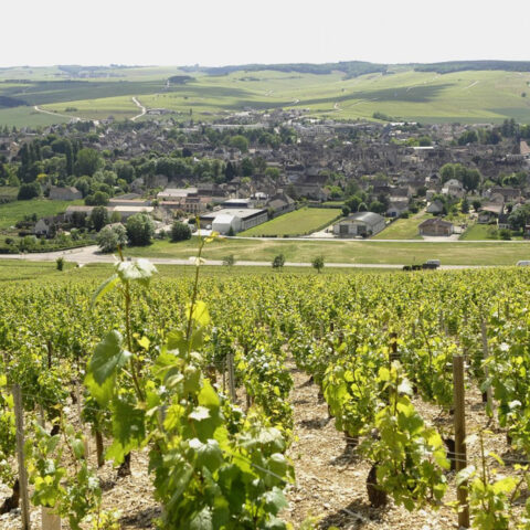 img-domaine-vocoret-02