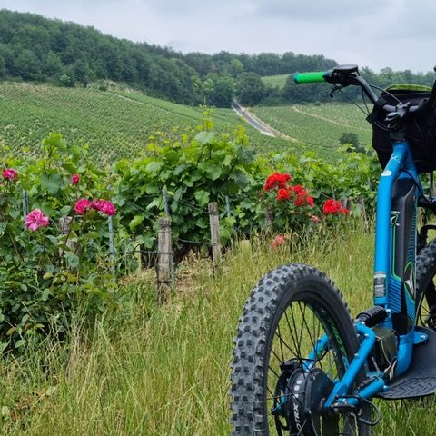 PHOTO-2021-06-25-08-46-30--1-